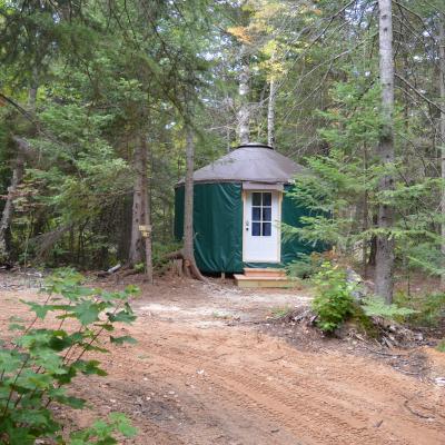 Green Yurt In Forest