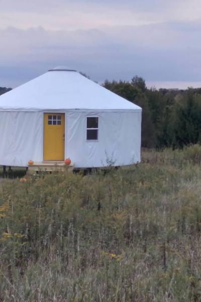 White Yurt