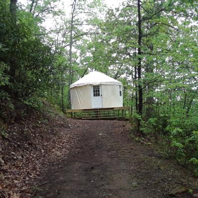 Yurt In Woods